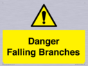 danger-falling-branches~